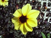 photos 2000-200902731